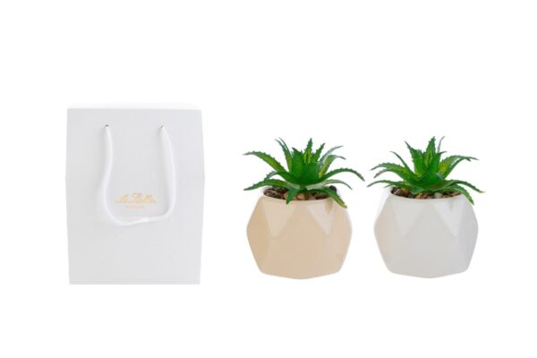 Vasetto piantina artificiale in ceramica beige e bianca con shopper abbinato. Dimensioni: 7x8 cm.