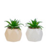 Vasetti con piantine artificiali verdi in due colori assortiti, diametro 7 cm e altezza 8 cm, inclusa shopper.
