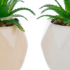 Vasetti con piantine artificiali in ceramica beige e bianco, design moderno, diametro 7 cm, altezza 8 cm, con shopper inclusa.