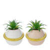 Vasetti decorativi con piantine artificiali, disponibili in due colori (bianco e beige) con anello dorato.