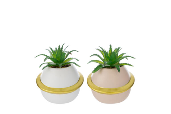 Vasetti decorativi con piantine artificiali, disponibili in due colori (bianco e beige) con anello dorato.