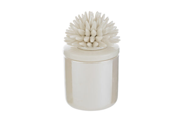 Candela decorativa in porcellana bianca con coperchio a forma di corallo, dimensioni 7,5x7,5xh.11,5 cm, completa di astuccio.