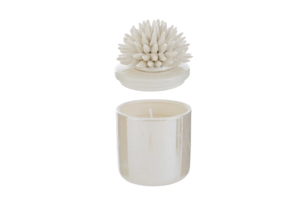 Candela con scatola in porcellana bianca, decorata con motivo corallo, dimensioni 7,5x7,5xh.11,5 cm e astuccio incluso.