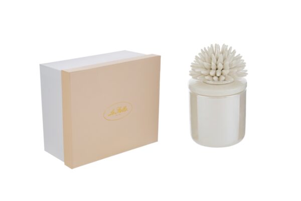 Candela in scatola di porcellana bianca con decorazione a corallo, dimensioni 7,5x7,5xh.11,5 cm, include astuccio elegante.