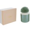 Candela in porcellana verde con decorazione corallo, dimensioni 7,5x7,5xh.11,5 cm, accanto a un astuccio elegante beige.