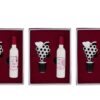 Set 2 pezzi accessori vino con astuccio rosso, composto da un tappo decorato e un cavatappi a forma di bottiglia.