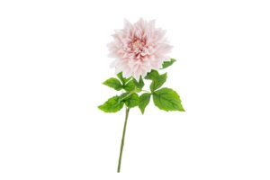 DALIA IN PLASTICA REAL TOUCH 70CM COL.ROSA CHIARO