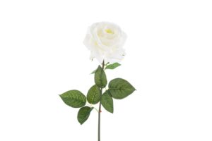 ROSA PLASTICA REAL TOUCH LUNGH.75 CM COL.BIANCO
