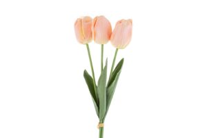 SET 3 TULIPANI PLASTICA REAL TOUCH 50CM COL.CHAMPAGNE
