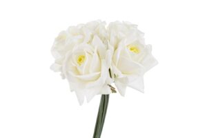 SET 5 ROSE PLASTICA REAL TOUCH 30CM COL.BIANCO