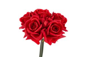 SET 5 ROSE PLASTICA REAL TOUCH 30CM COL.ROSSO