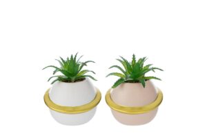 VASETTO PIANETA PIANTINA 2ASS.7,5x7,5xh.8,5CM C/SHOPPER 13692