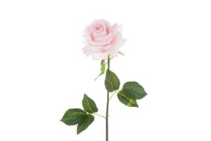 ROSA PLASTICA REAL TOUCH LUNGH.75 CM COL.ROSA