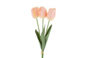 SET 3 TULIPANI PLASTICA REAL TOUCH 50CM COL.CHAMPAGNE
