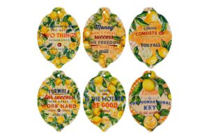 APPENDINO POGGIAPENTOLA LIMONI 6ASS.15x21,5CM C/ASTUCCIO