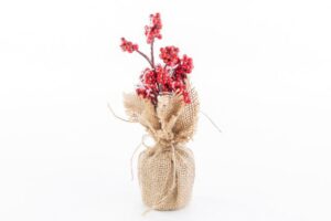 SACCHETTO PIANTINA NATALIZIA ROSSO 5xh.17CM