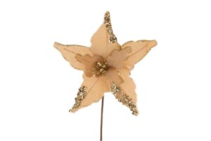 STELLA NATALIZIA BEIGE diam.20 xstelo 30 CM