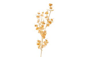 RAMO NATALIZIO FOGLIE ORO 70 CM