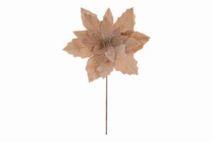 STELLA NATALIZIA VELVET d.45x60CM CHAMPAGNE