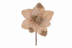 FIORE NATALIZIO VELVET d.15x20CMCHAMPAGNE