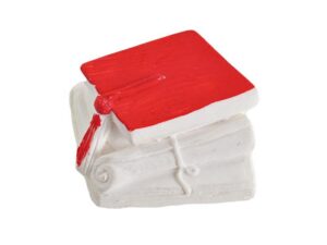 GESSETTO LAUREA 4x3,5 CM