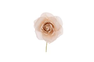 FIORE ROSA COL.BEIGE diam.10 CM