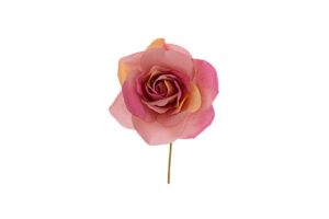 FIORE ROSA COL.ROSA SELVATICO diam.10 CM