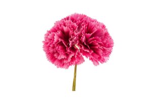 SET 3 FIORI GAROFANO diam.10CM COL.FUCSIA