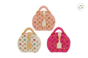 CALAMITA RESINA BORSETTA 3ASS.4,5x5CM