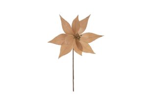 FIORE STELLA NATALIZIA BEIGE d.23 x l.30CM