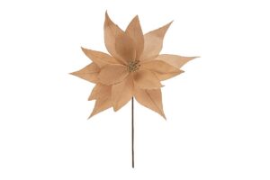 FIORE STELLA NATALIZIA BEIGE d.40xl.45CM