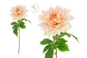 DALIA IN PLASTICA REAL TOUCH 70CM COL.CHAMPAGNE