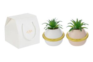 VASETTO PIANETA PIANTINA 2ASS.7,5x7,5xh.8,5CM C/SHOPPER 13692