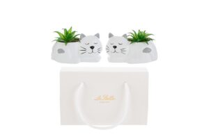 VASETTO GATTINO PIANTINA 2ASS.13x7,5xh.8,5CM C/SHOPPER 156570