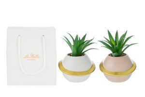 VASETTO PIANETA PIANTINA 2ASS.12x11,5xh.16CM C/SHOPPER 13695
